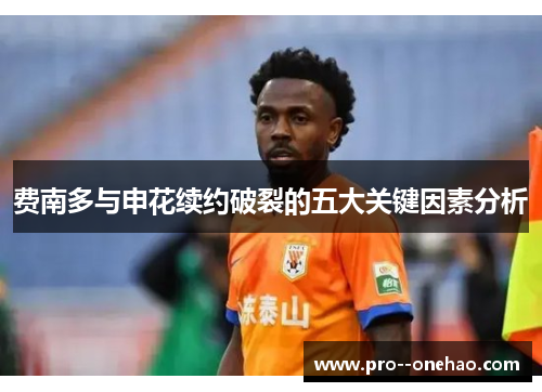 费南多与申花续约破裂的五大关键因素分析