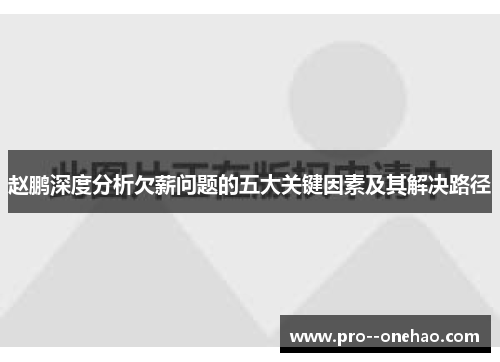 赵鹏深度分析欠薪问题的五大关键因素及其解决路径