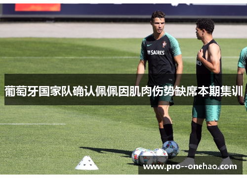 葡萄牙国家队确认佩佩因肌肉伤势缺席本期集训 葡萄牙国家队确认佩佩因肌肉伤势缺席本期集训
