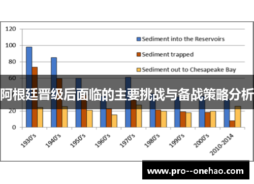 阿根廷晋级后面临的主要挑战与备战策略分析